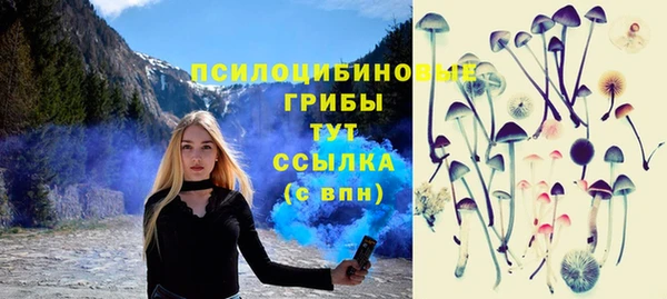 экстази Алексин