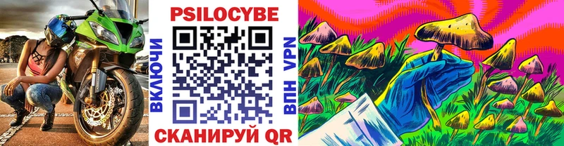 Псилоцибиновые грибы Psilocybe Дегтярск